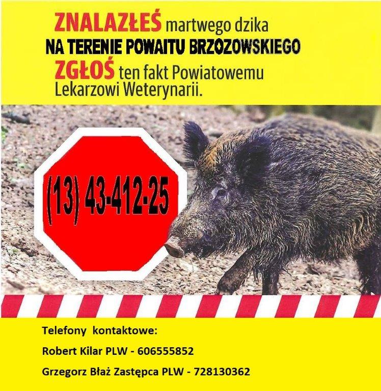 Ulotka - Zgłoszenie znalezienia padłego dzika!