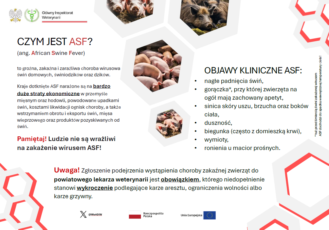 Czym jest ASF ?