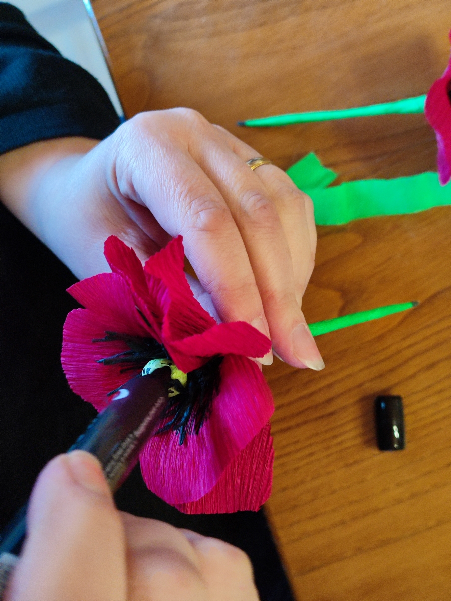 Img20260307115011 31Dea36dcb