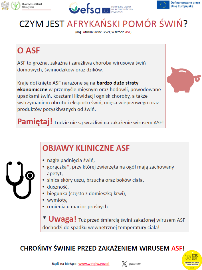 Czym jest afrykański pomór świń ?